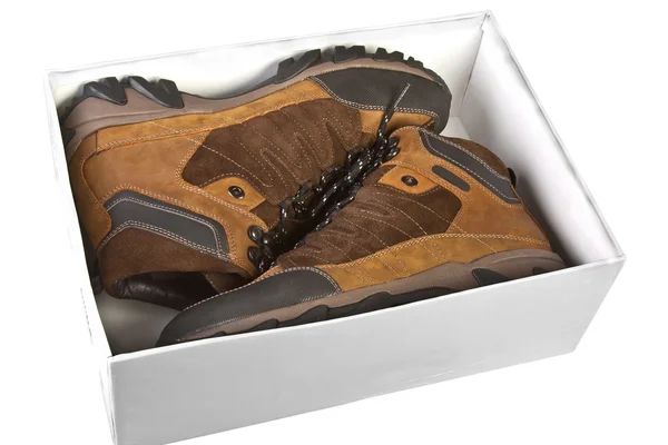 Sapatos masculinos em uma caixa — Fotografia de Stock