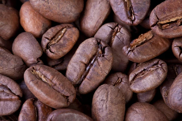 クローズアップコーヒー豆 — ストック写真