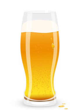 Lager bira. vektör çizim.