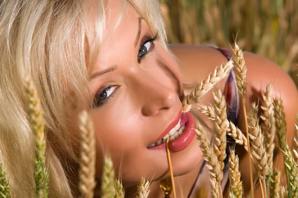 Loira sentada em um campo de trigo — Fotografia de Stock