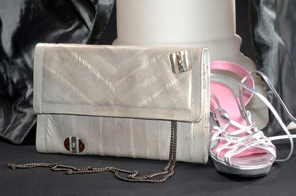 Damernas handväska och skor — Stockfoto