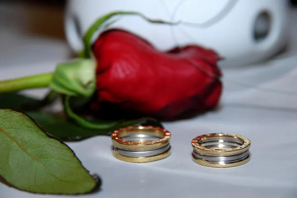 Anéis de casamento em um contexto de rosas — Fotografia de Stock