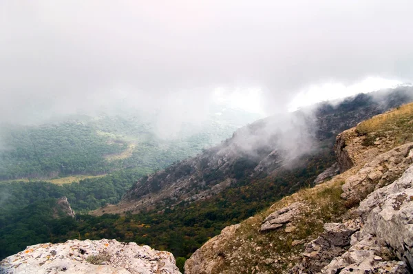 Nevoeiro em uma encosta de montanha — Fotografia de Stock