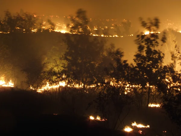 ไฟแห่งทุ่งหญ้า — ภาพถ่ายสต็อก