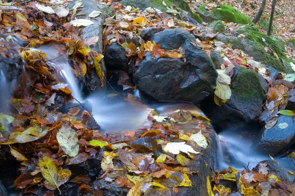 A kövek között folyó patak — Stock Fotó