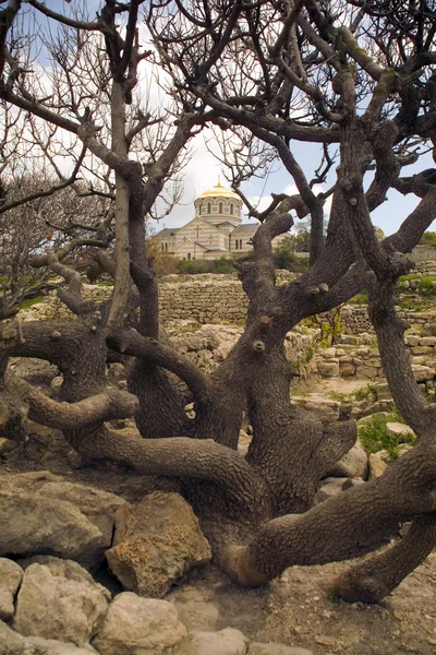 Árboles e iglesia antigua —  Fotos de Stock