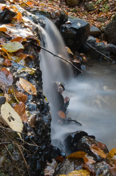 A kövek között folyó patak — Stock Fotó