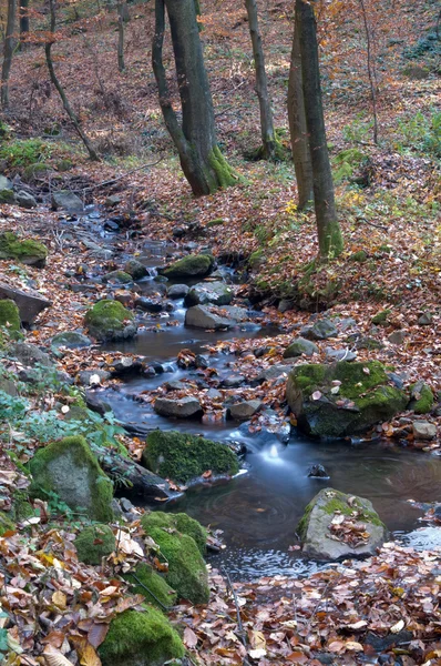 Fluss des Wassers zwischen den Steinen und Blättern — Stockfoto