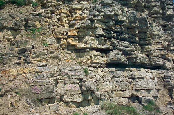 岩の表面 — ストック写真