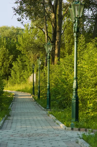 Пішохідна Доріжка Парку Влітку — стокове фото