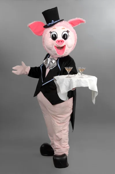 stock image Man dressed as a pig to entertain children