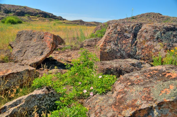 Rezerwat kamienne grobowce, Ukraina — Zdjęcie stockowe