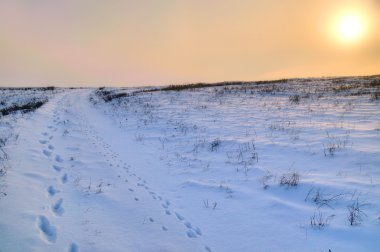 Snow covered field clipart