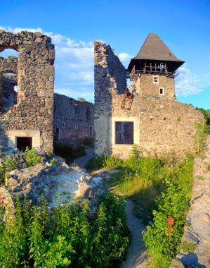 Nevytsky Castle in Zakarpattya clipart