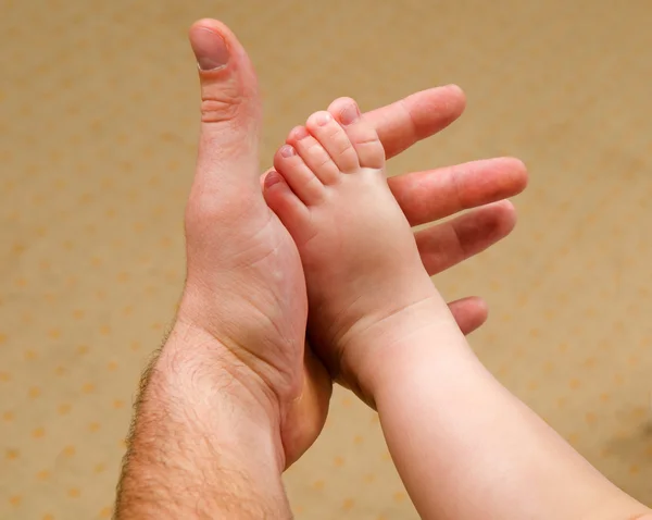Mãos Homem Uma Criança Pequena Sobre Fundo Isolado — Fotografia de Stock