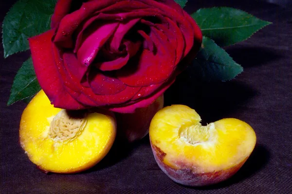 Персики и красная роза — стоковое фото