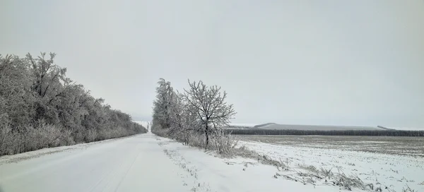 Estrada de inverno — Fotografia de Stock