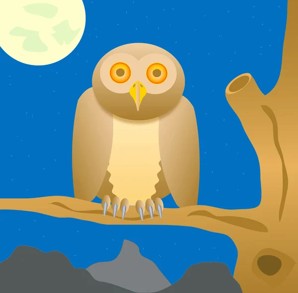 Owl sits on tree in the night — Stock Photo, Image