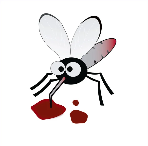 Κουνούπι πότης αίματος — Φωτογραφία Αρχείου
