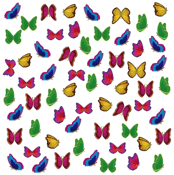 Veel gekleurde insecten butterfly — Stockfoto