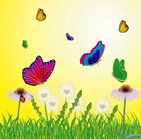 Yıl çayır üzerinde uçan kelebekler — Stok fotoğraf