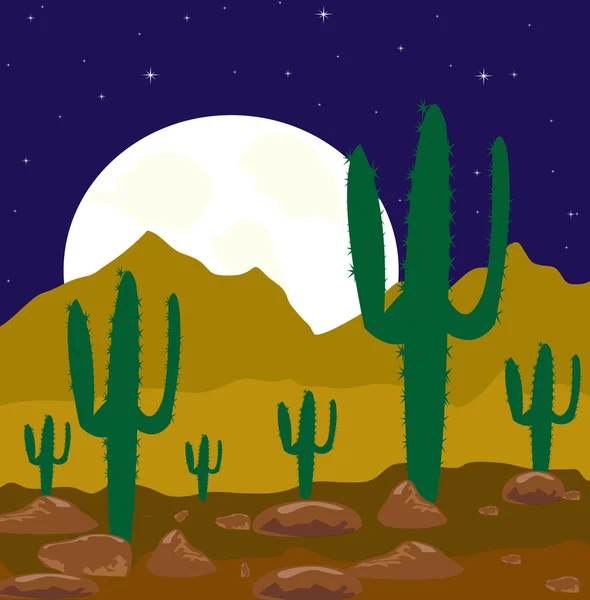 在沙漠中的月亮夜 — 图库照片