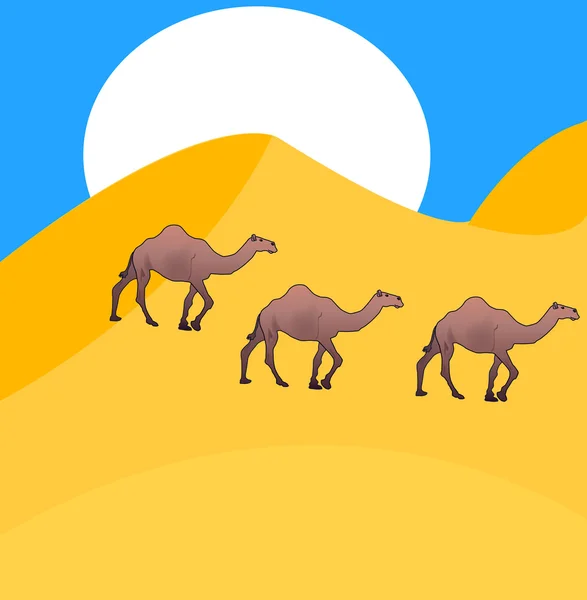 I cammelli vanno nel deserto — Vettoriale Stock