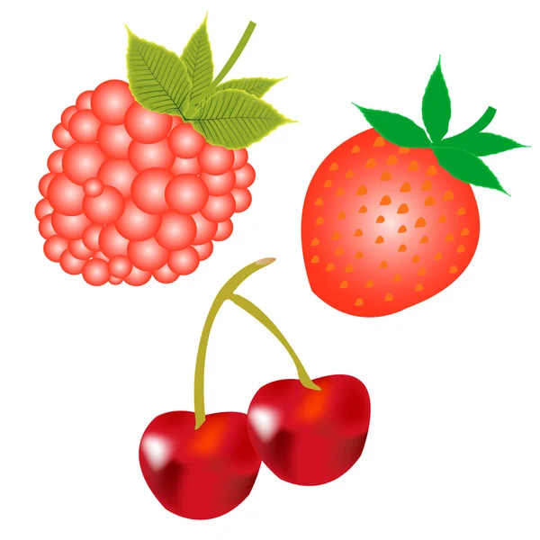 Червоні ягоди — стоковий вектор