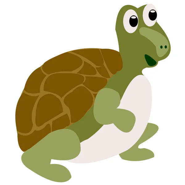 Zeichnung der lustigen Schildkröte — Stockvektor