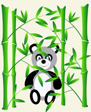 Bambu ve ayı panda