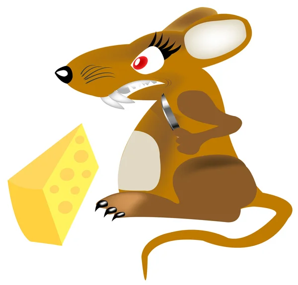 Krysa a sýr — Stockový vektor