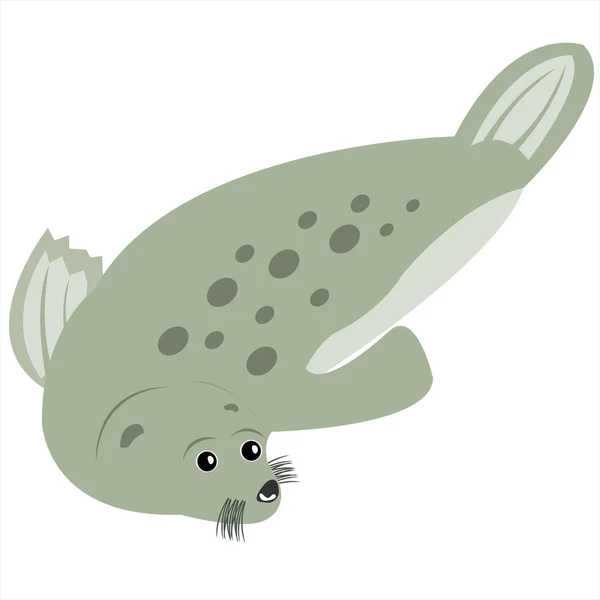 Ilustrace Mořské Zvíře Těsnění Bílém Pozadí — Stockový vektor