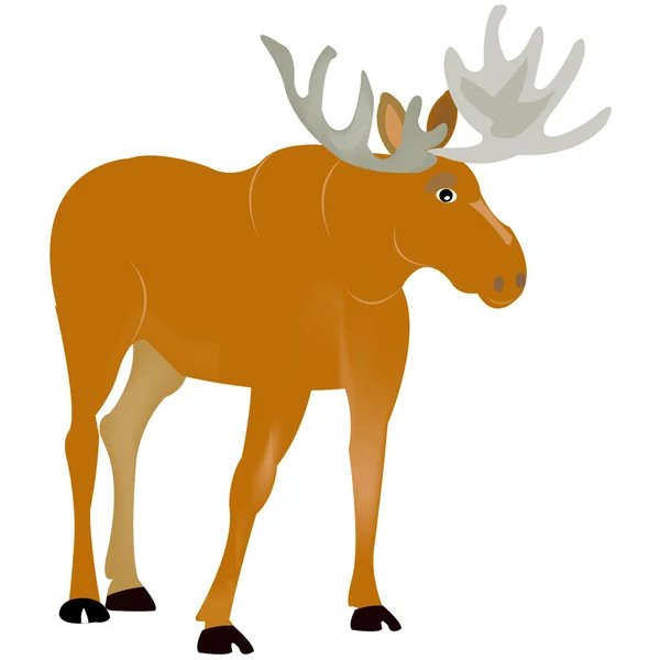 Animal moose — Stock Vector