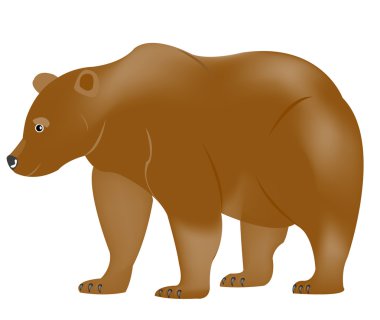 Illustration borax bear on white background clipart