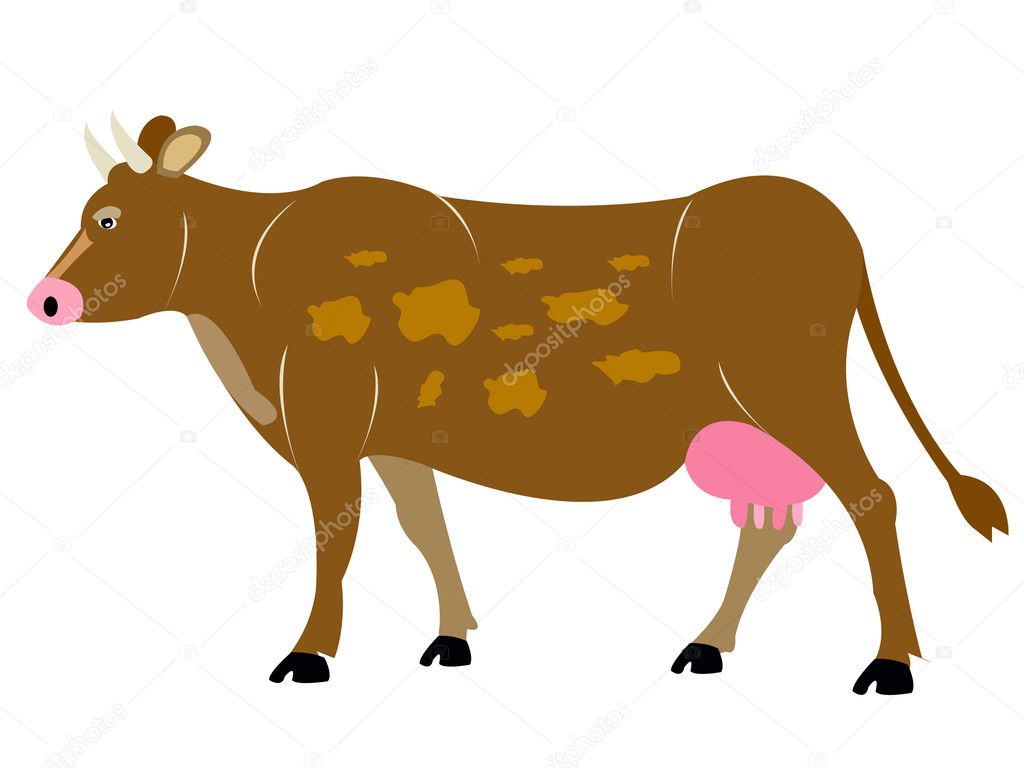Ungulate animal cow on white background