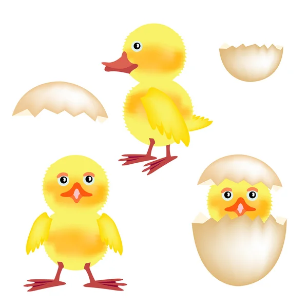 小新生雏鸟的母鸡和壳蛋 — 图库矢量图片
