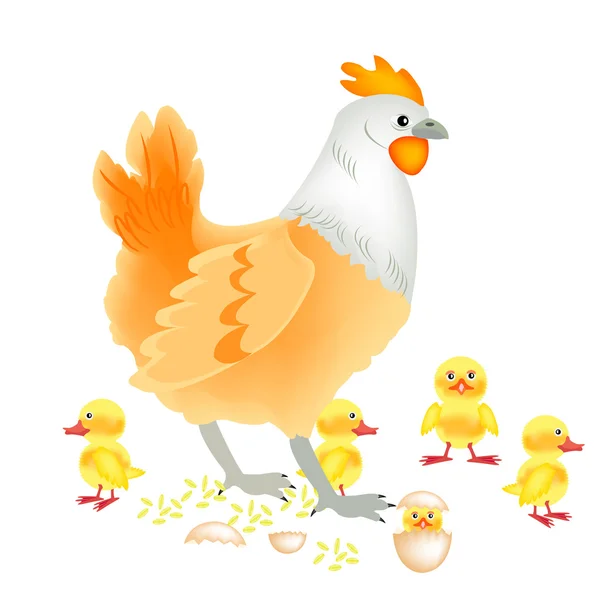 Yeni Doğan Yavru Beyaz Zemin Üzerine Tavuk — Stok Vektör