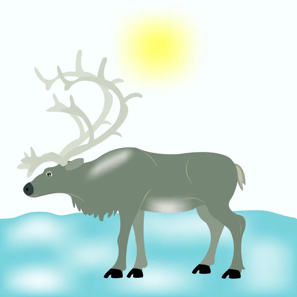 Reindeer Snow Tundra — Stock Vector