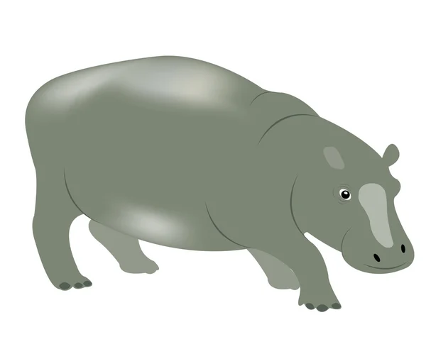 Illustration Wildlife Hippopotamus White Background — Stock Vector