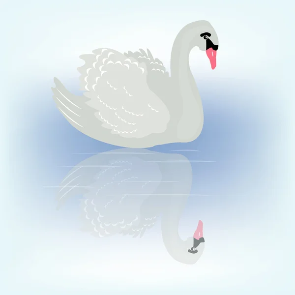 Gracioznaya Vogel Swan Haar Reflectie Water — Stockvector