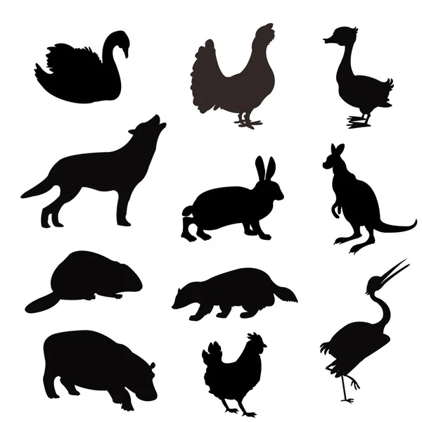 野兽和鸟类在白色背景上的黑色 Silhouettes — 图库矢量图片
