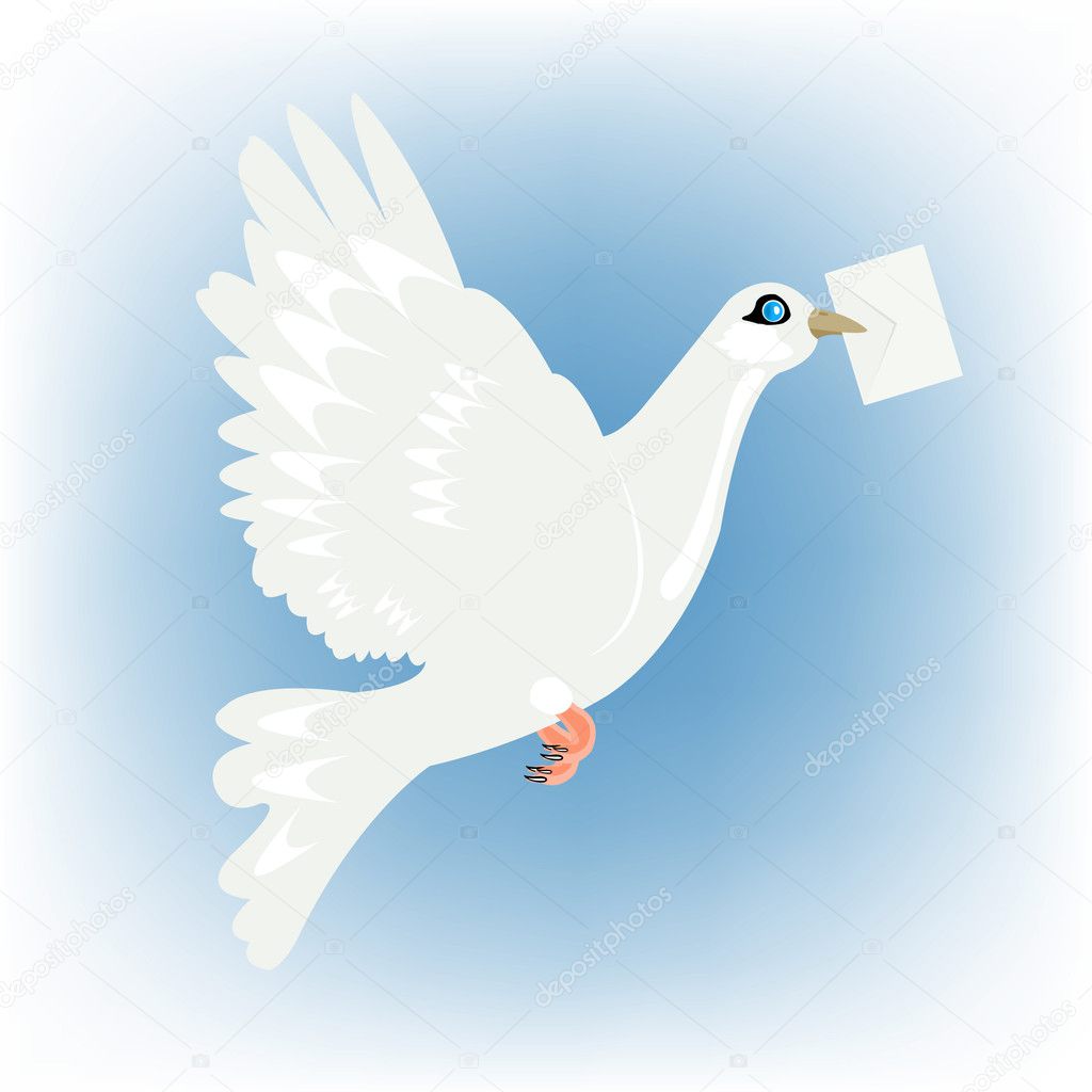 Carrier pigeon with letter in beak