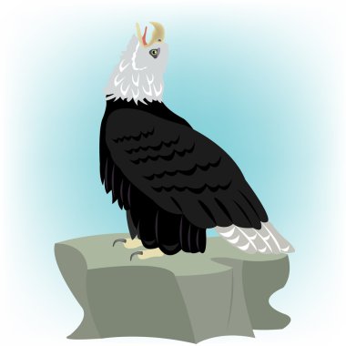 Bird eagle on stone clipart