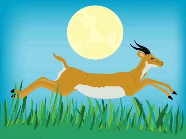 Runninging antelope — Stock Vector