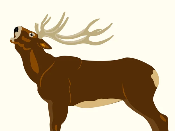 Wild deer with horn — Stock Vector