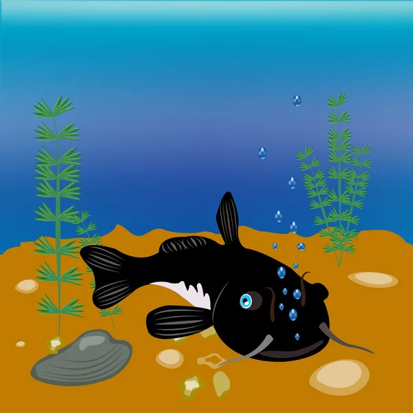 Poisson Sheatfish le jour — Image vectorielle