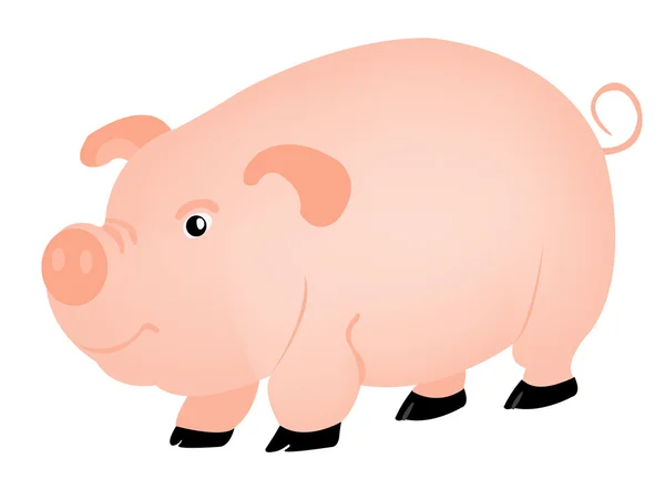 Husdjur djur gris — Stock vektor