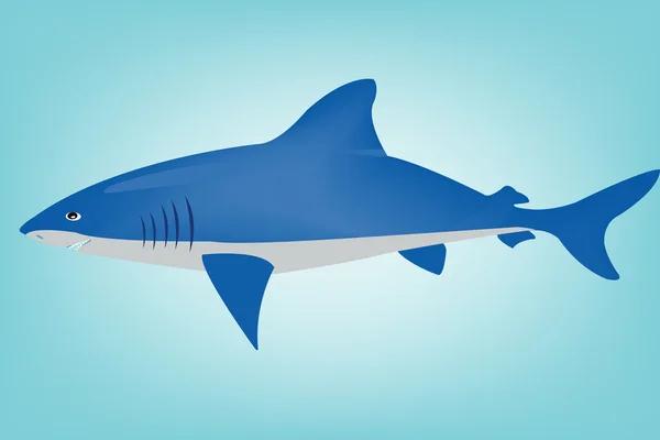 Акула в океані — стоковий вектор