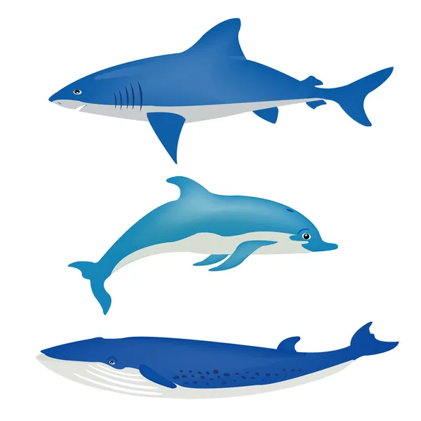Sea animals on white — Stock Vector