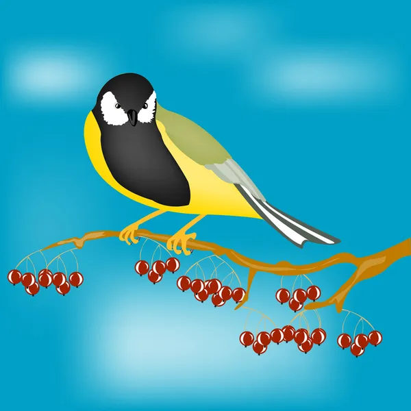Small bird on branch with berry — Stock Vector